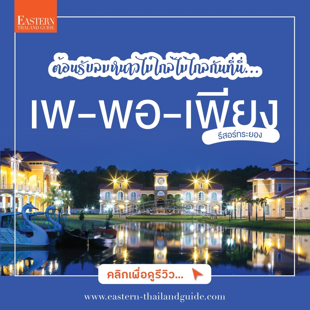 BANNER DESIGN – moreCREATIVE